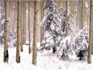 Christmas-Wallpapers11
