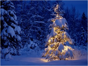Christmas-Wallpapers119