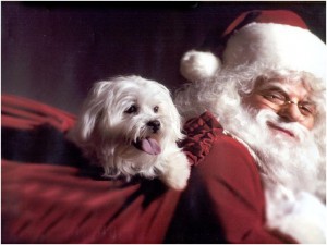 Christmas-Wallpapers143