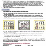 how to play bingo nights