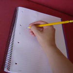 Pocket Diary Notes