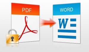 PDF to Word Converter