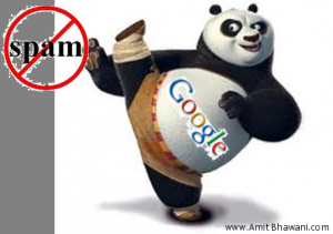 Google Panda Update